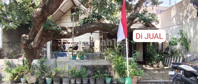 Tanah 8 Menit ke Citraland Simpang Lima Bn 1