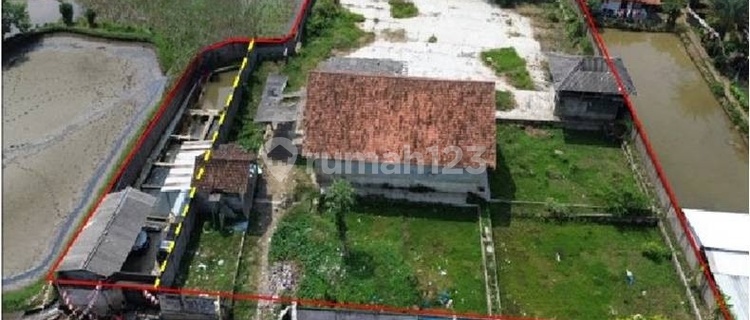 Gudang Luas 2469 M di Cianjur Cocok untuk Usaha dan Gudang 1