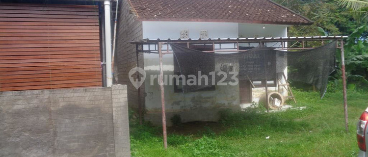 Dijual Rumah Seharga Rp 126Jt di Jembrana - Bali 1