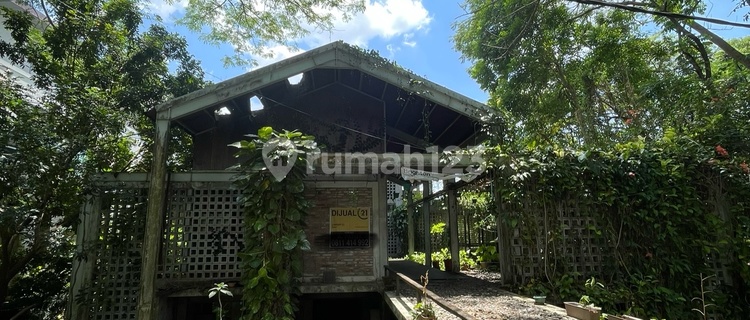 For Sale: Luxury Industrial-Themed Green House in Bukit Baruga, Strategic Location, Flood-Free 1