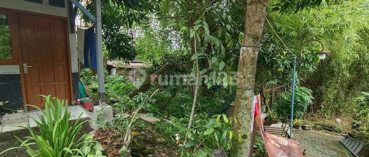Dijual Tanah Kebun Siap Panen Di Gunung Pati 1