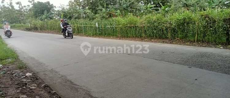 For Rent: Strategic Garden Land in Mranggen 1