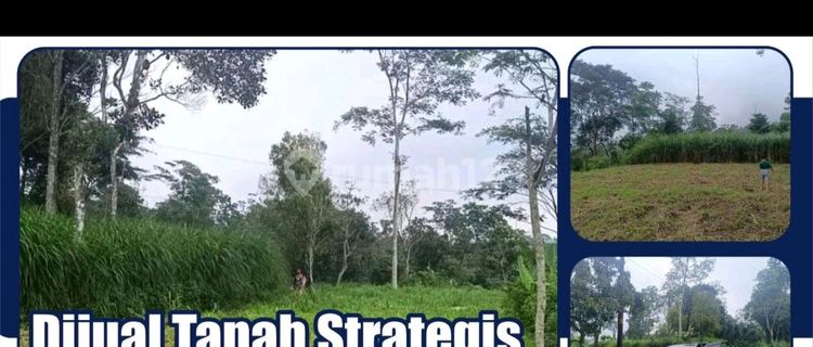 Dijual Tanah View Gunung Dan Kota Tanah Luas  1