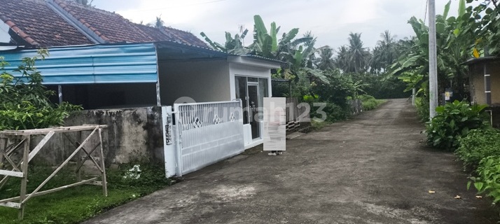 Rumah Strategis di Wilayah Jembrana 1