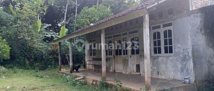 Cheap Land, Wide Area, Village Atmosphere Susukan District, Semarang Regency 1