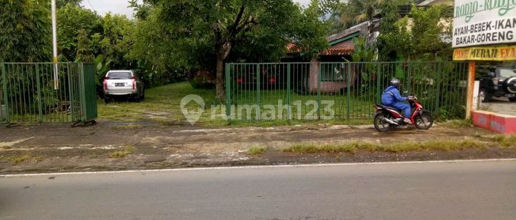 House in Solo Street, approximately 1