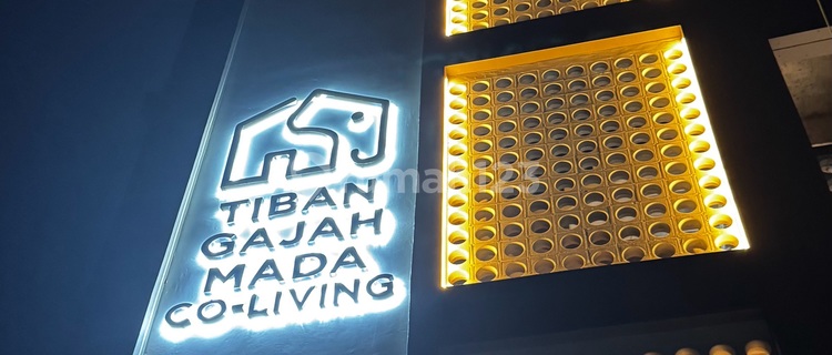 Brand New Spectacular Kos in Tiban Gajah Mada 1