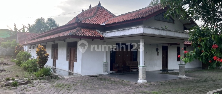 Jual Segera Rumah Klasik di Jl Raya Solo Wonogiri Jawa Tengah 1