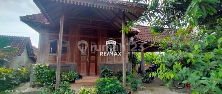 Dijual Rumah Gaya Joglo, Olehsari-Banyuwangi 1