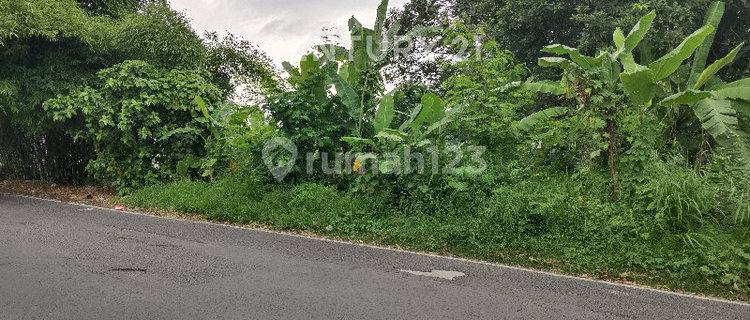 Tanah 4580 m² SHM di Pinggir Jalan Raya Beringin, Ngaliyan 1