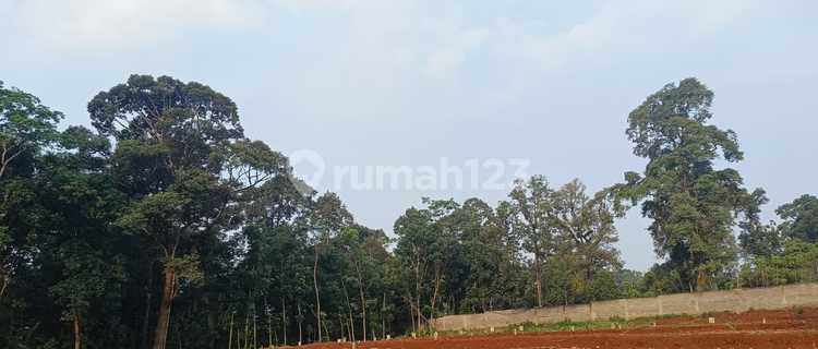 Very Cheap Land Ready to Build SHM Semarang City 1