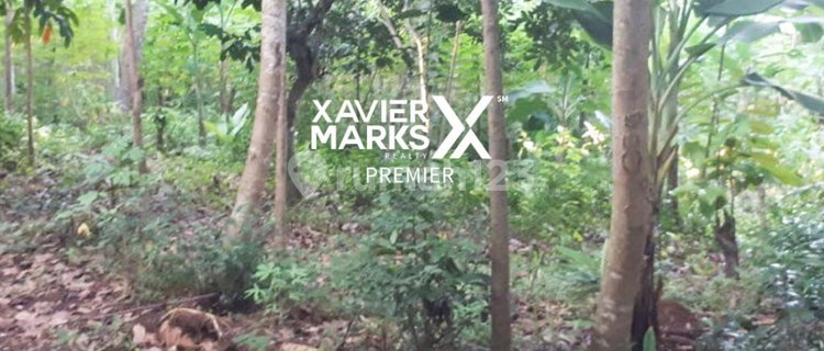 Tanah Luas Di Gedawang Banyumanik Semarang 1