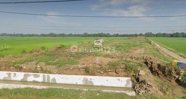 Tanah SHM kotak siap bangun di Jatibarang Indramayu 1