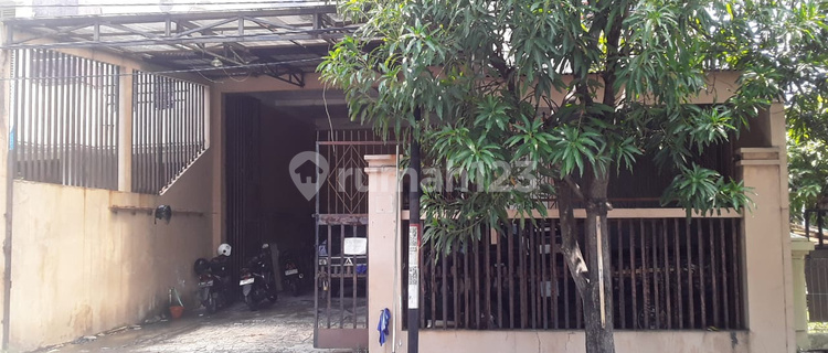 Warehouse Jl.Singa East Semarang – 10618 1