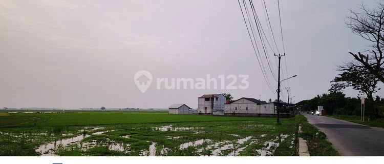 Buy a House Profit in Sukadiri Subdistrict Tangerang Banten 1