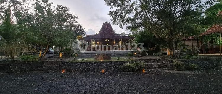Properti Adat Jawa dan Tanah Luas 5806 M² di Desa Asri Sentolo 1