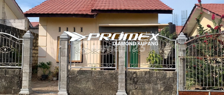 For Sale House Location Alak Kupang 1