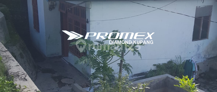 Dijual Rumah Lokasi Naikoten Kupang 1