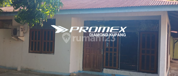 Disewakan Rumah Lokasi Oeba Kupang 1