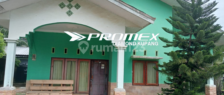 DIJUAL RUMAH DAN KOS-KOSAN LOKASI LILIBA KUPANG 1