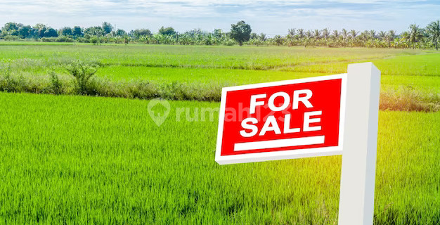 Tanah Pusat Kota Mojokerto 0 Jalan Pahlawan  1