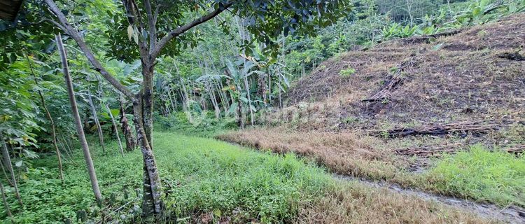 Dijual Tanah Cocok untuk Ternak Ayam Udara Sejuk Dekat Sungai 1