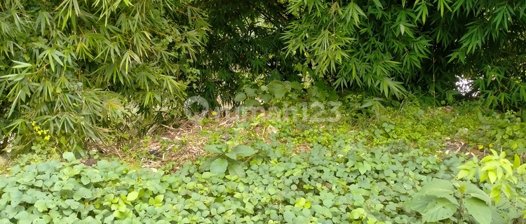 Cheap land below NJOP in East Pedurungan, Semarang. 1