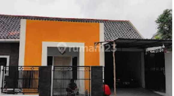 Struggle Boarding House 1