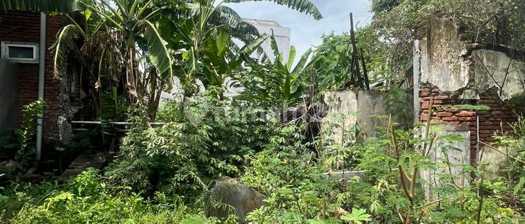 Bebas Banjir, Tanah, SHM, di Purwosari, 1