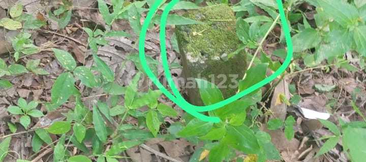 Tanah Polosiri Bawen Bawah NJOP Suasana Alam Perbukitan Cocok untuk Investasi 1