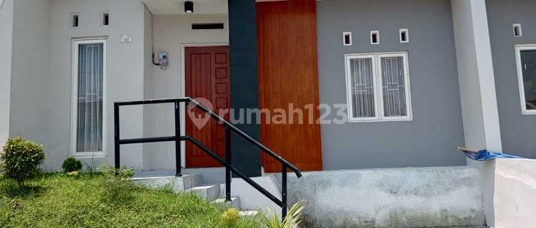 Cool House North Solo 1