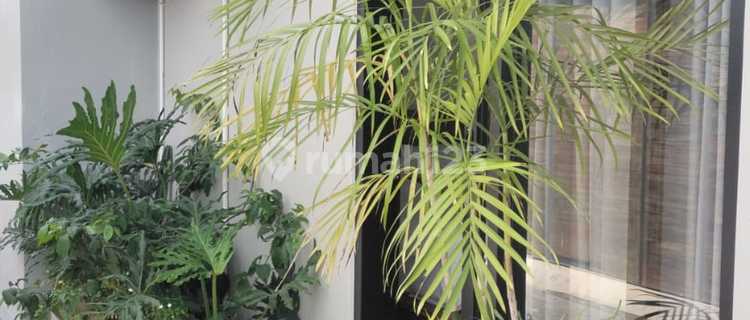 1 Bedroom Boarding House in Canggu Batu Bolong 1