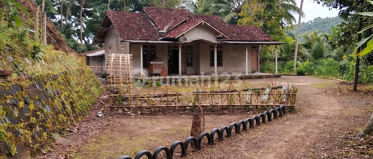 Rumah di Desa Kecamatan Samigaluh Yogyakartagkungan Tenang dan Asri 1