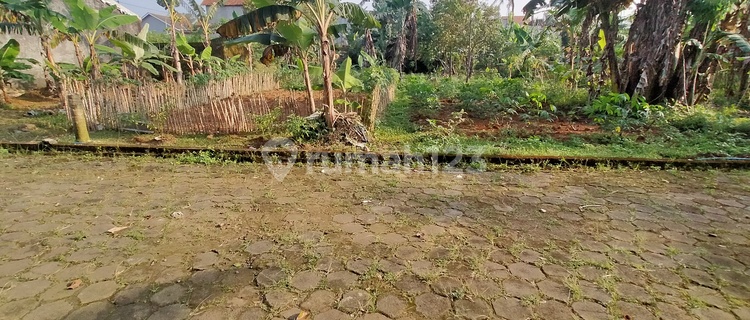 Sell Land with SHM in Pekarangan Pudak Payung, Banyumanik 1