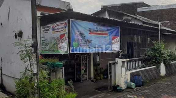 Rumah Murah Harga Dibawah Harga Pasar Di Tlogosari 1