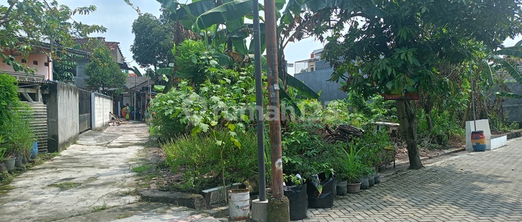Tanah Dijual Pojok SHM Hak Milik  di Perum Berlian Kel Sambiroto Tembalang Semarang Timur 1