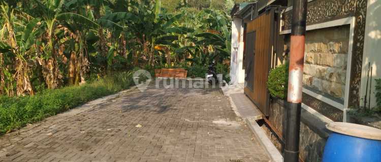 Tanah Dijual SHM Hak Milik Jl Candi Kalasan Kalipancur Ngaliyan Semarang Barat 1