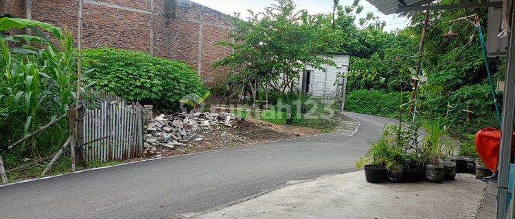 Land for Sale, Freehold Title SHM, Adjacent to Gemah Permai Housing, Amposari Sendangguwo Tembalang, East Semarang 1