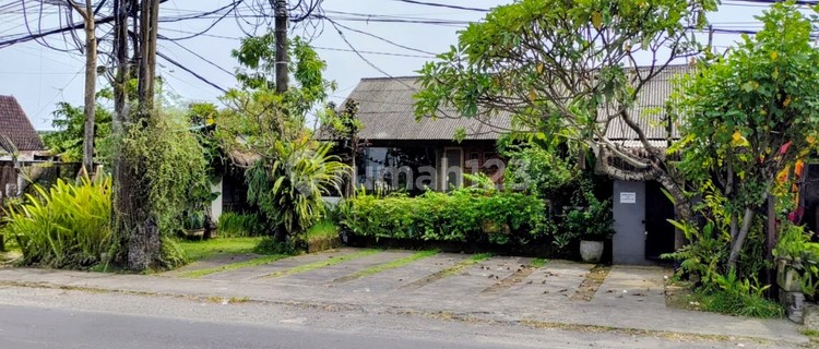 Restaurant 300 M2 Seseh Munggu 1