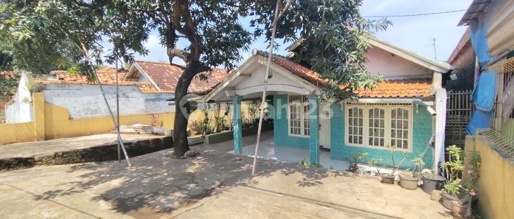 Jual Tanah dan Rumah Komersil || Jalur Propinsi Subang 1