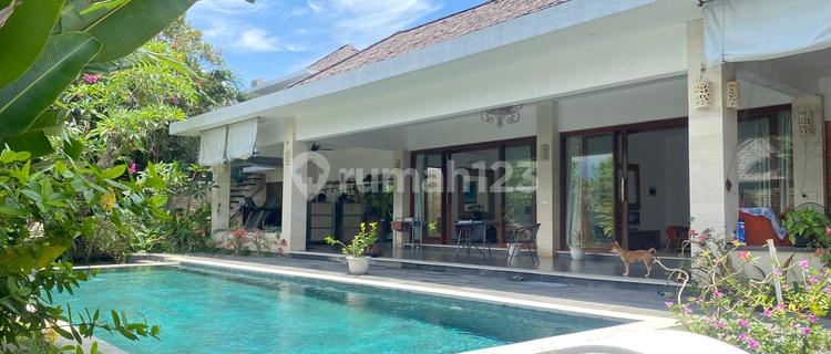Villa Modern 3 Kamar dengan Kolam Renang - Bangunan Luas, Lokasi Asri Dekat Kota & 30 Menit ke Medewi 1