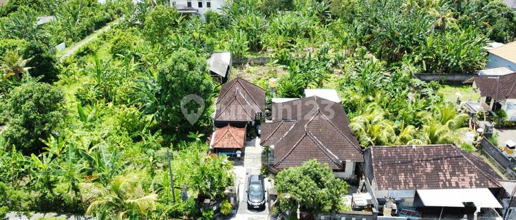 Full Furnished, Rumah, Siap Huni Jembrana 1