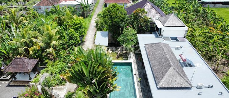 Good Furnished Rental House Medewi, Jembrana 1