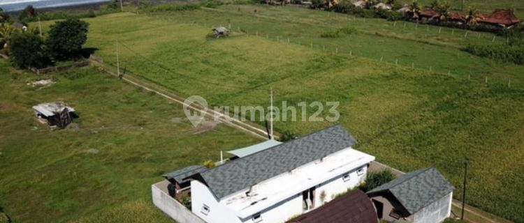 Rumah Furnished ,Dekat Medewi Point Surf Spot.sekarang Hanya Rp 3,2 Miliar - Hemat Rp 400 Juta