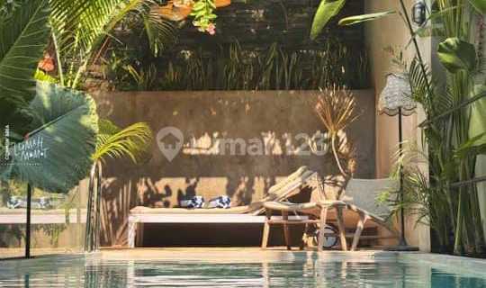 Beautiful Fully Furnished House with Rooftop Farm in West Pejaten - South Jakarta 1