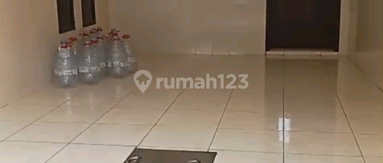 Customs Sedati Forest Pigeon etc. 1