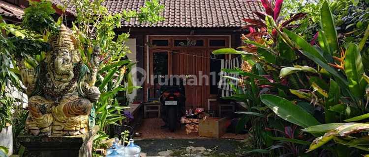 Rumah di Buruan, Gianyar 1
