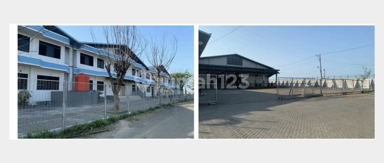 Special Edition, Bonded Zone Special Warehouse, Central Java 1