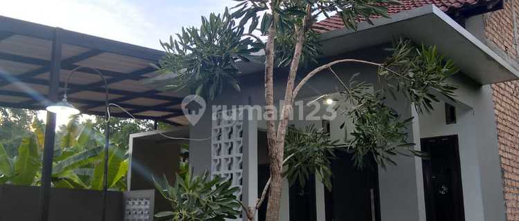 Rumah Disewakan Pawiyatan Luhur Dekat Kampus Unika Semarang  1