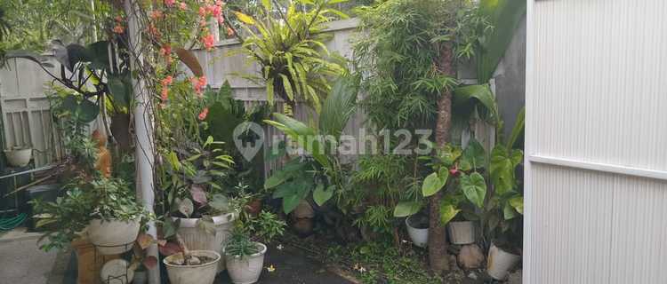Villa 4 Bedroom Pinggir Jalan 1
